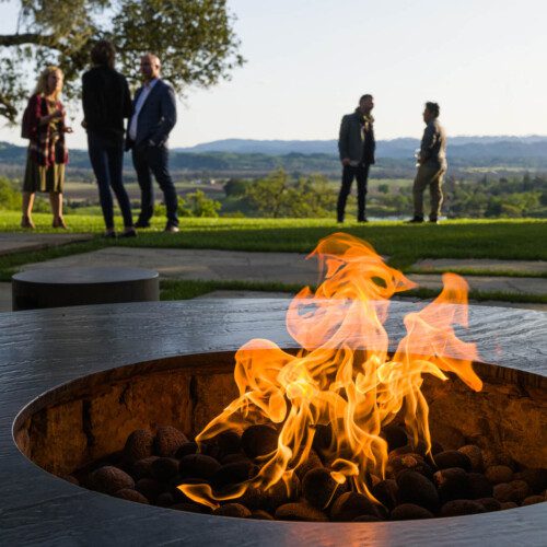 A fire burns in the fire pit while people converse on the lawn